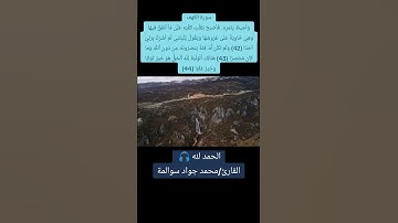 سورة الكهف 42-44: القارئ/محمد جواد سوالمة