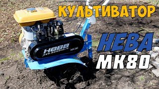 Культиватор НЕВА МК-80 / Идеальный для дачи.