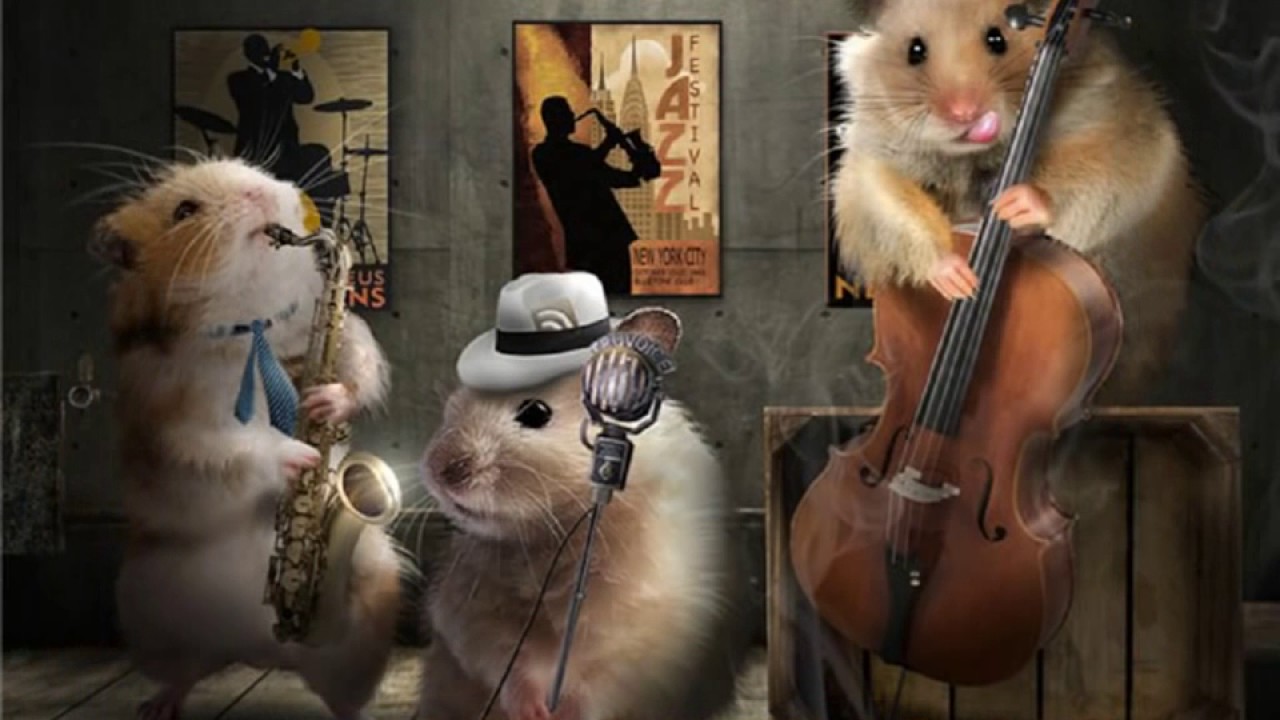 Sad hamster violin hamster. Хомяк с гитарой. Зверюшки с музыкальными инструментами. Животные музыканты. Звери музыканты.