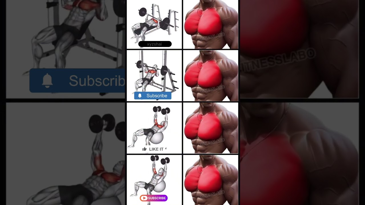 chest exercise 3set 15reps 