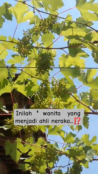 ⁴ wanit4 ahli neraka