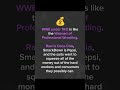 WWE is like the Walmart of Pro Wrestling #wwe