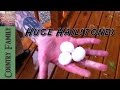 Huge Hailstones and Tornado Damage