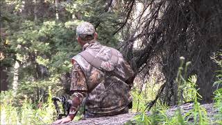 Colorado Elk Hunt Videos