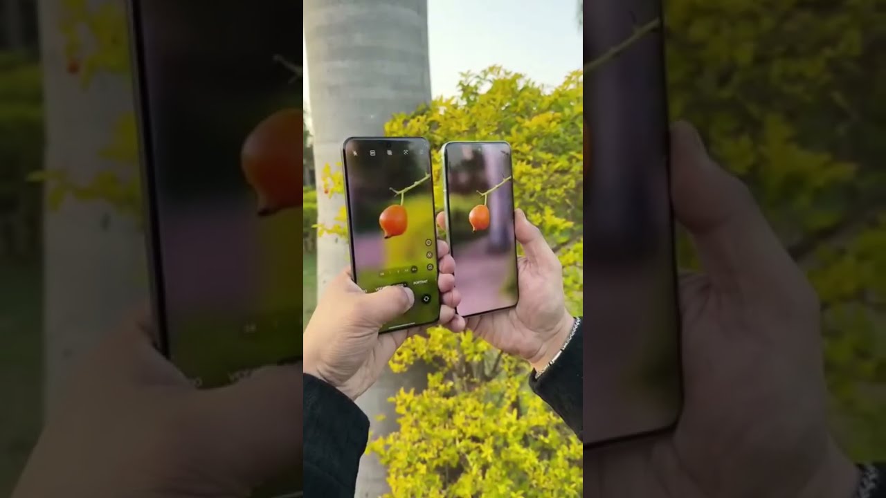 OPPO Reno 14 Pro Vs Vivo X200 Photography Test Camera Testing Vivox200pro