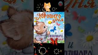 🌞Хорошего денечка и настроения!😊