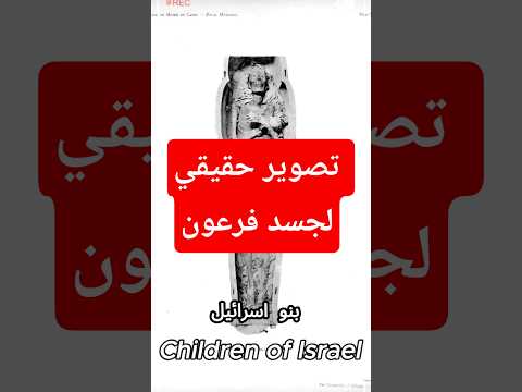 قصة سيدنا موسي و فرعون  معلومات تاريخ