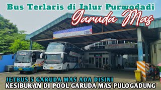 KESIBUKAN DI POOL GARUDA MAS PULOGADUNG‼️PENUMPANG MEMBLUDAK‼️SELARIS INIKAH PO GARUDA MAS