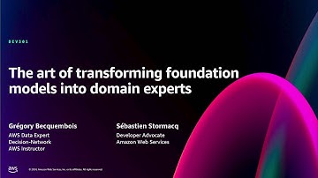 AWS re:Invent 2024 - The art of transforming foundation models into domain experts (DEV301)
