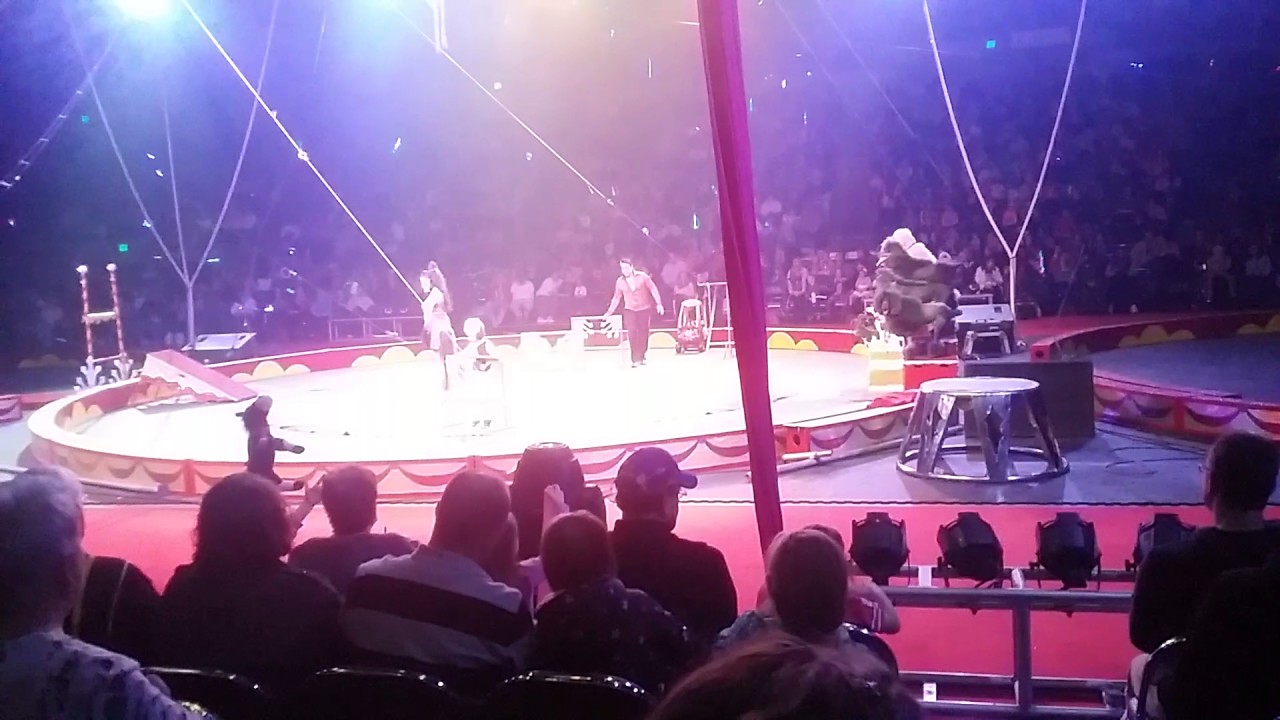 Shrine Circus 2017 (3)