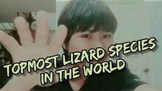 Topmost Lizard Species in the World