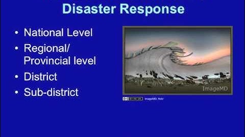 EAHA DM 3.2: Policy Framework for Disaster Management - Multi-Lingual Captions