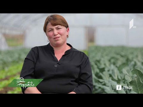 #არტიშოკი ეკომიგრანტი ქალი, რომელმაც მარნეულში პირველი სასათბურე მეურნეობა შექმნა