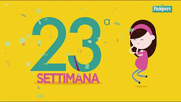 Quanto è 2-3 settimane di gravidanza?