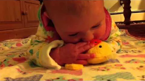 Violet and the duck