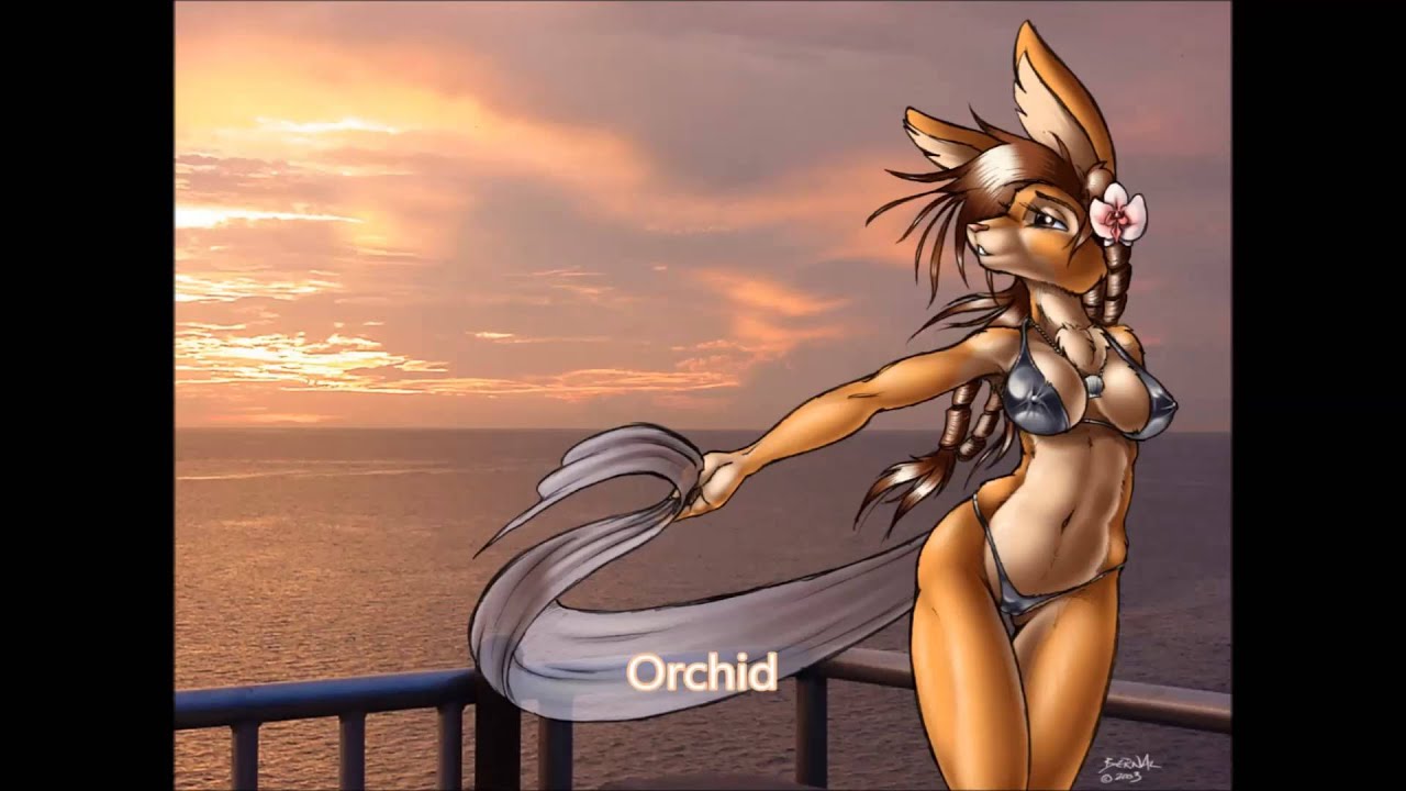 Sexyfur Sexyfur