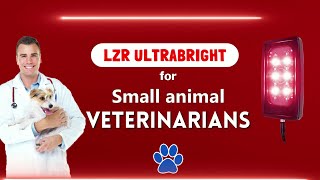 How small Veterinarian can use light therapy to treat Pets at the office