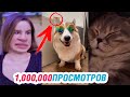 ЭТИ ВИДЕО НАБРАЛИ МИЛЛИОН ПРОСМОТРОВ в TIK TOK | ЛУЧШИЕ ТИК ТОК ПРИКОЛЫ АВГУСТ 2019