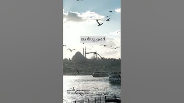 (لَا تَحْزَنْ إِنَّ اللَّهَ مَعَنَا ) القارىء عبد الرحمن مسعد🧡🎧 سورة التوبة