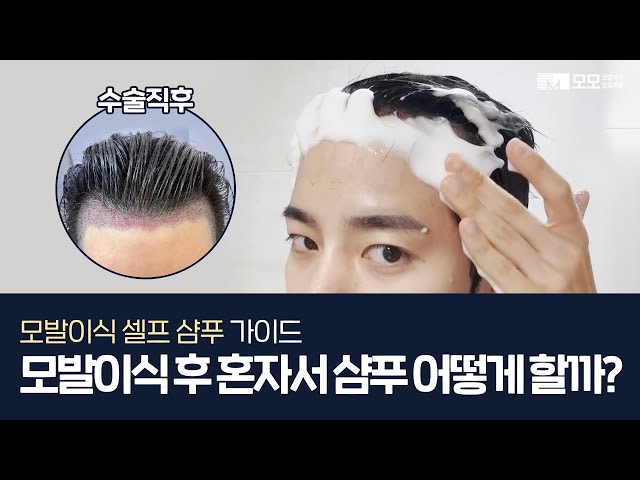 모발이식 후 혼자서 샴푸 어떻게 할까?! | 모발이식 셀프 샴푸 방법 | 모모성형외과
