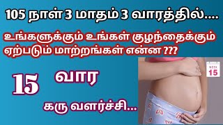 Early pregnancy symptoms in tamil |15 weeks pregnancy symptoms in tamil |15 weeks fetus development