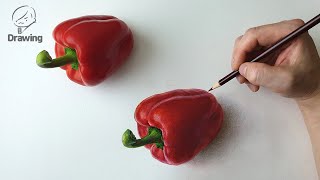How to draw - Paprika 3D Art Drawing [파프리카 그림그리기]