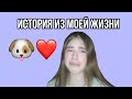 ТРОГАТЕЛЬНАЯ ИСТОРИЯ ИЗ МОЕЙ ЖИЗНИ ПРО СОБАКУ 🐶 ДРУЖКА 💖