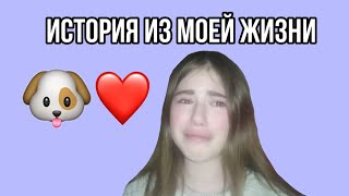 ТРОГАТЕЛЬНАЯ ИСТОРИЯ ИЗ МОЕЙ ЖИЗНИ ПРО СОБАКУ 🐶 ДРУЖКА 💖