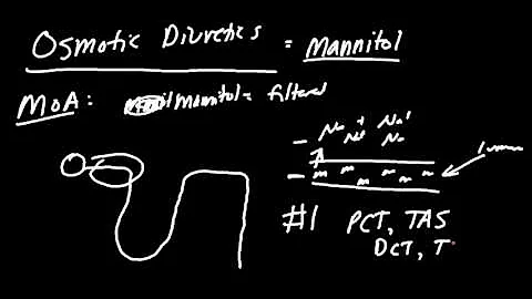 What is mannitol and why is it used?