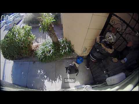 gutsy-thief-tries-to-climb-gate---the-ring-video-doorbell