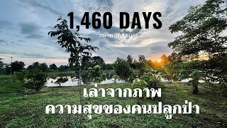 รวมภาพสวนป่า 1460 วัน หรือ 4 ปี