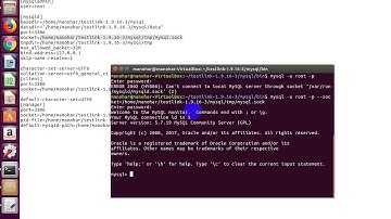 ERROR 2002 (HY000): Can