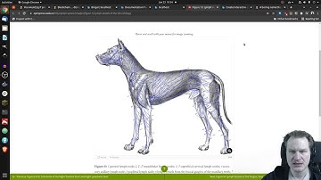 Twitch Live Stream Highlight (January 23, 2022): Premiere of H5P Image Zoom