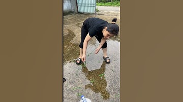 Test thực tế bơm cắt rác Taifu/0987389589