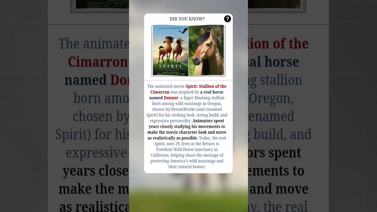 Meet The Real Spirit Horse Behind Movie 