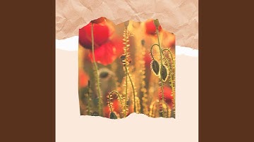 Pulsating Ambience for Intense Focus