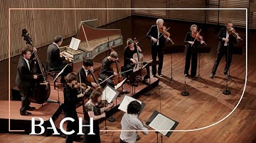 Bach - Brandenburg Concerto no. 3 in G major BWV 1048 - Sato | Netherlands Bach Society