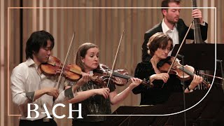 Bach - Brandenburg Concerto no. 3 in G major BWV 1048 - Sato | Netherlands Bach Society
