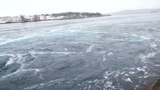 Saltstraumen Maelstrom