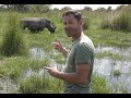 The Last White Rhinos In The World Ziwa Sanctuary Adventure Uganda NicholasDaines Com
