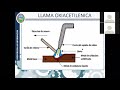 11.- TIPOS DE LLAMA 1