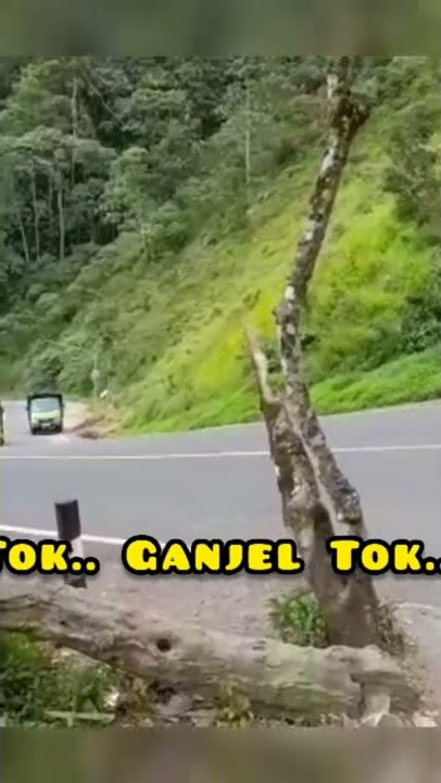 Tok.. Ganjel Tok...