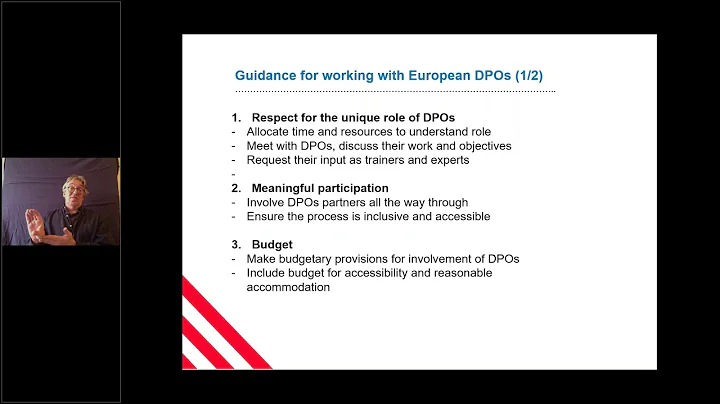 i2i Webinar #3  the role of DPOs in international ...