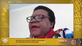 Joint Meeting: Portfolio Committee on Sports, Arts and Culture and Select Committee on Education and