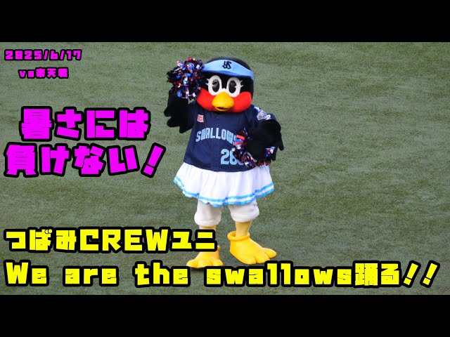 【未開封】2025CREWユニ つばみちゃん つばみ CREWユニでWe are the swallows踊る!! 2025/6/17 vs