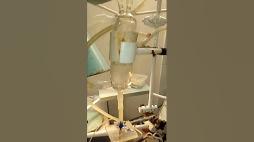 Langendorff Isolated Rat Heart