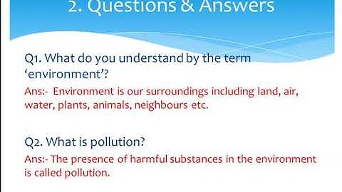 Class 3  Science   Chapter 16  (Exercise)