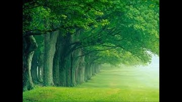 تلاوة جميلة -أواخر سورة غافر- لفضيلة الشيخ د/ الوليد الشمسان -تراويح قباء 1437/9/23 هـ