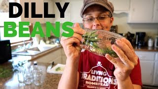 Dilly Beans!!! Preserving our Green Bean Harvest