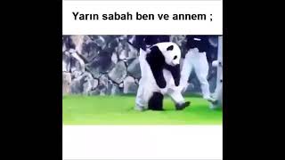 Komi̇k İnstagram Vi̇deolari - Bto Vi̇deo